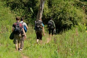 Luang Namtha Travel Tips Guide: Cultural Insights, Costs & Eco-Tours